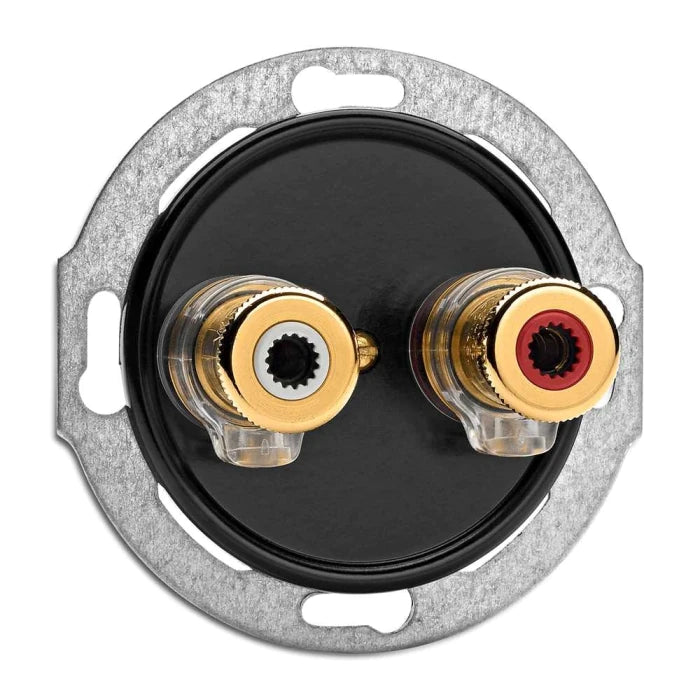 Lautsprecheranschluss WBT Nextgen Unterputz Bakelit