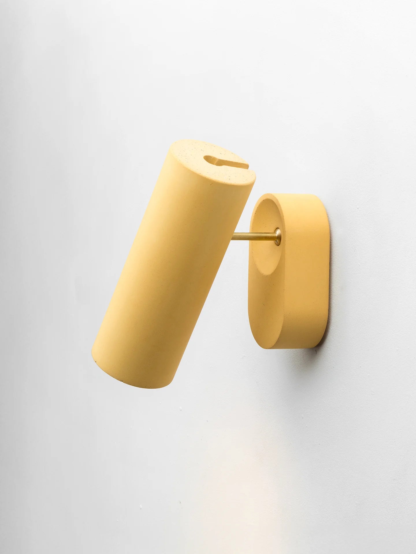 Argia | Concrete wall or ceiling spotlight