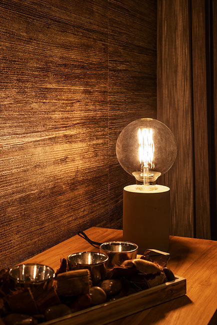 Led Filament Light Bulb | Giant High Lumen Globe E27