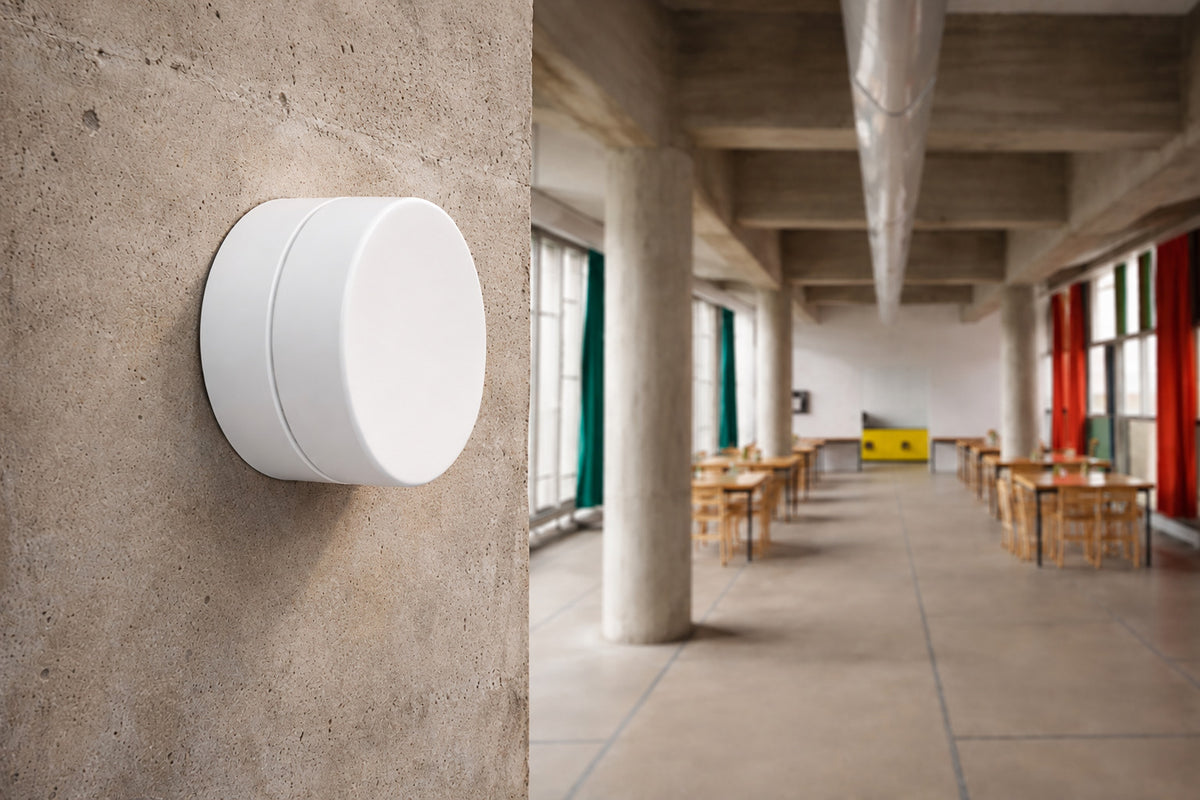 Wall or Ceiling Light Dana IP54 | Zangra