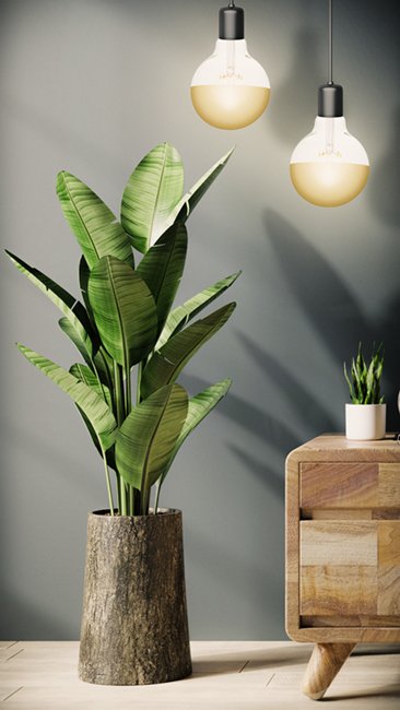 Ambiente Led Glühbirne Kopfspiegel | Big Gold Top Filament Globe E27