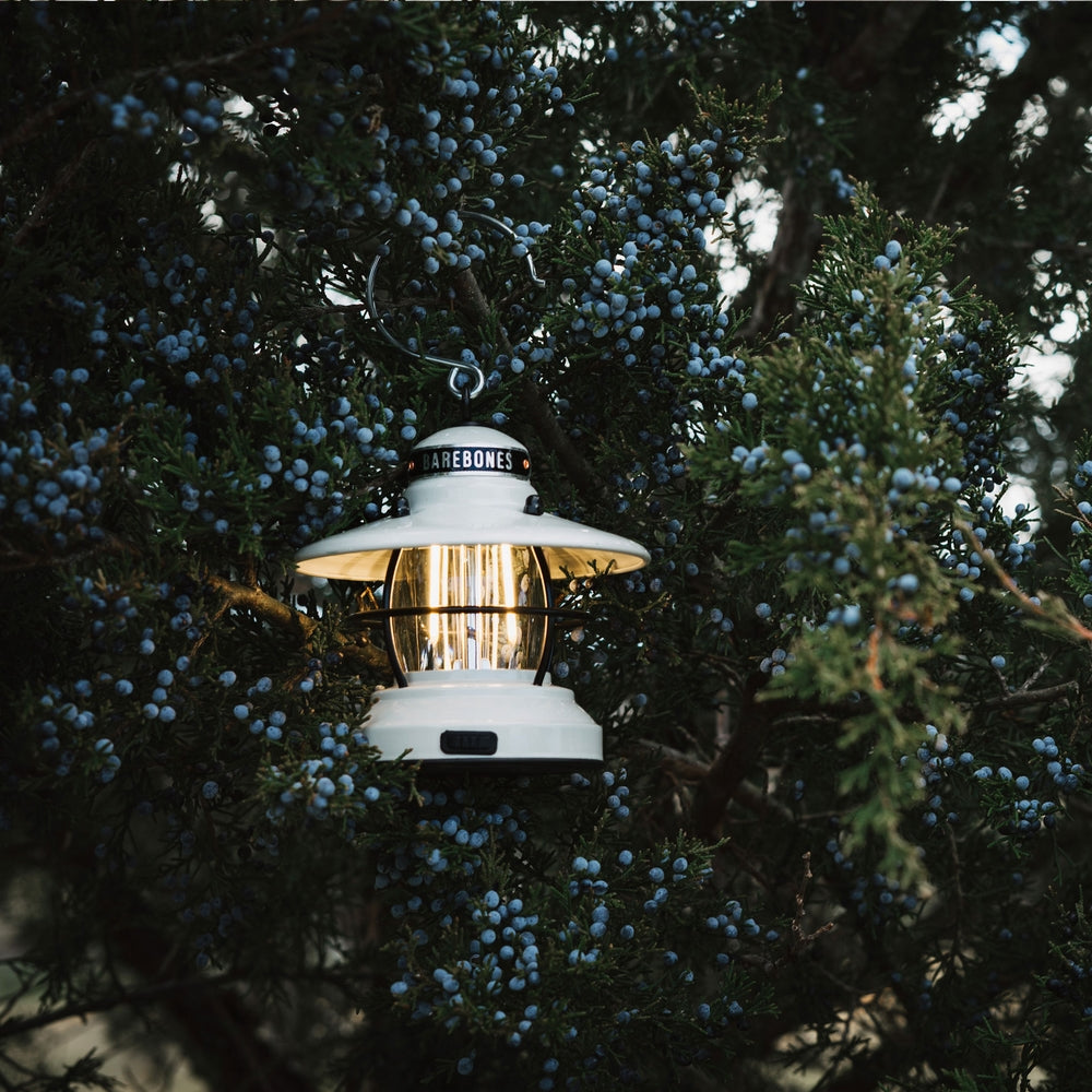 Edison Mini Laterne
